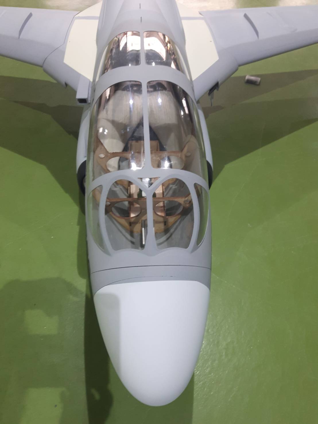EA6b Prowler - VAQ-139 Cougar