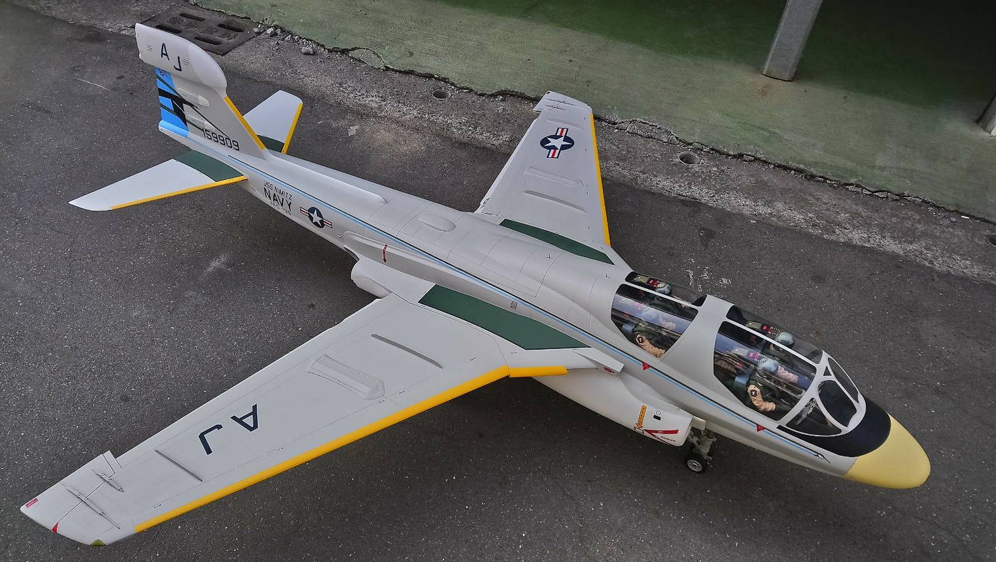 EA6b Prowler - VAQ-135 Black Raven
