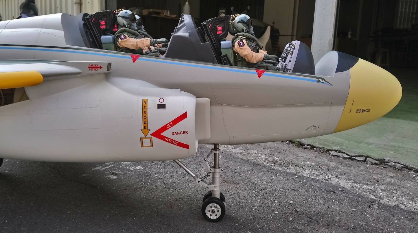 EA6b Prowler - VAQ-135 Black Raven