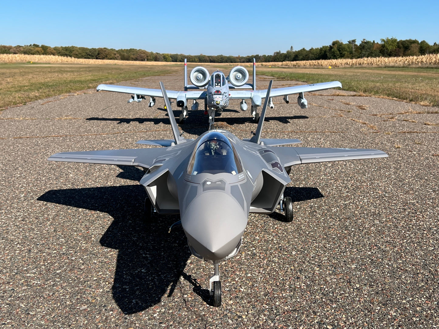 F-35A Lightning II - 100th Anniversary