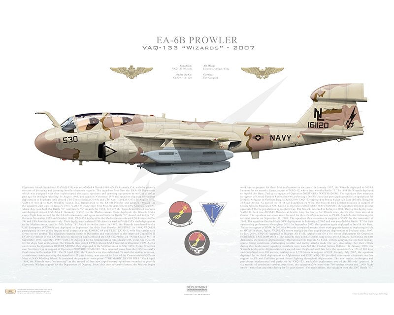 EA6b Prowler - VAQ-133 'Wizards' desert camo PNP