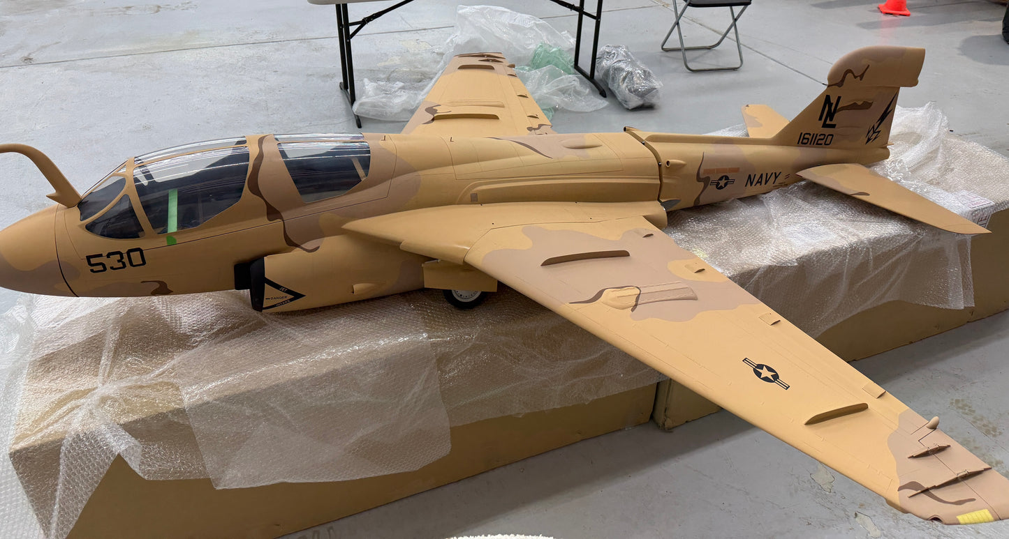 EA6b Prowler - VAQ-133 'Wizards' desert camo PNP